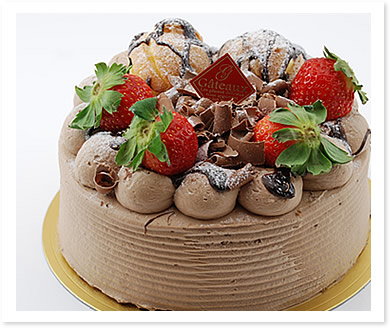 チョコ生クリームデコレーションケーキ